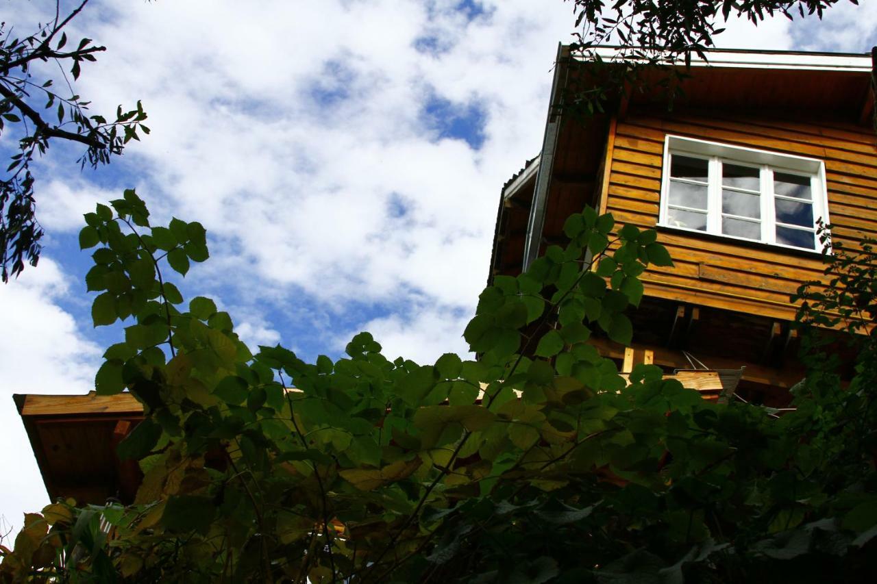 Bed and breakfast Pajaro Azul San Carlos de Bariloche